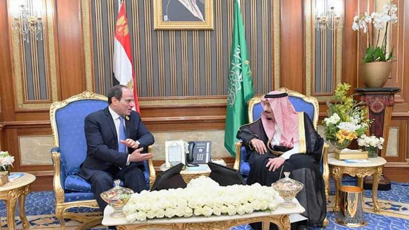 العدسات تسجل لحظات