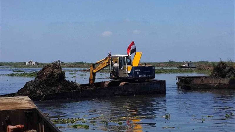 تطهير بحيرة المنزلة