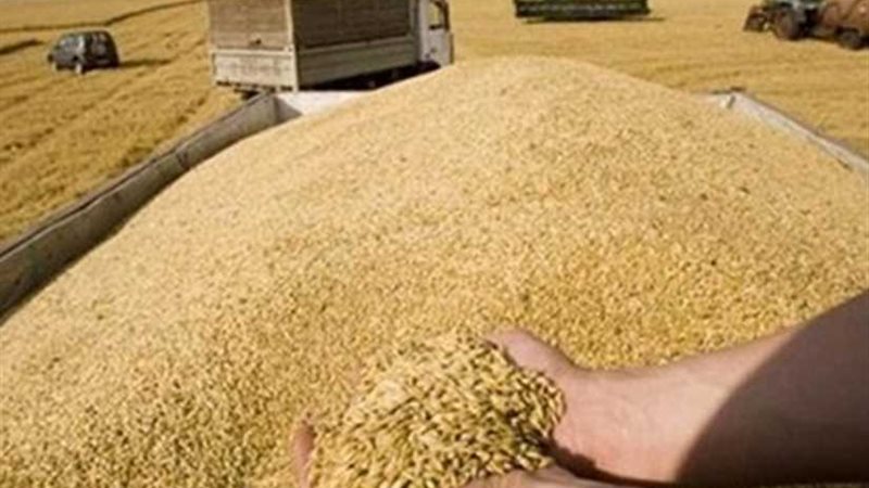 توريد 156 ألفا و739