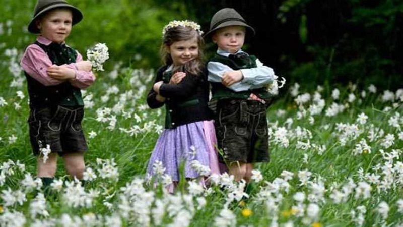 النرجس البري أكبر