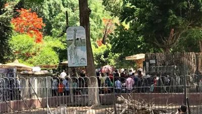 45 الف زائر لحديقة الحيوان ثالث أيام العيد