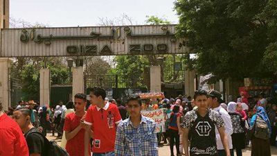 رئيس حدائق الحيوان : 125 ألف زائر لحديقة حيوان الجيزة في ثالث أيام العيد