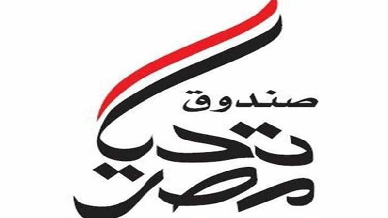 صندوق تحيا مصر: 4