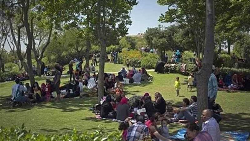 قومي المرأة: لا شكاوى