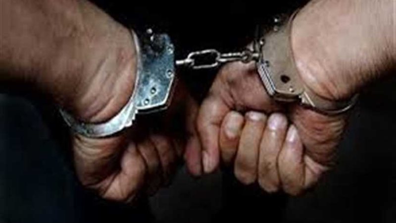 ضبط عنصرين إجراميين