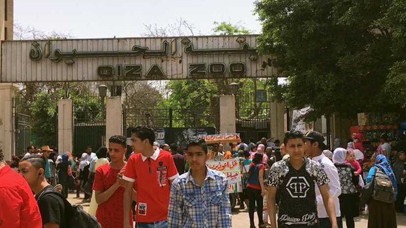 رئيس حدائق الحيوان