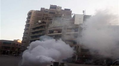 الدقهلية تواجه الذباب والبعوض