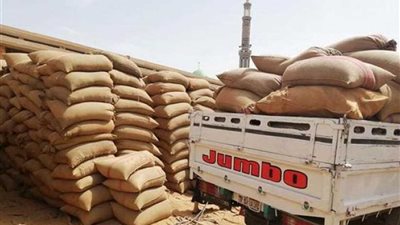 توريد 131 ألفا و734 طن قمح محلي بـ