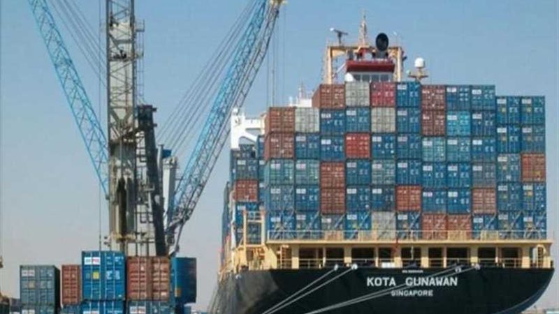 19 سفينة إجمالي حركة