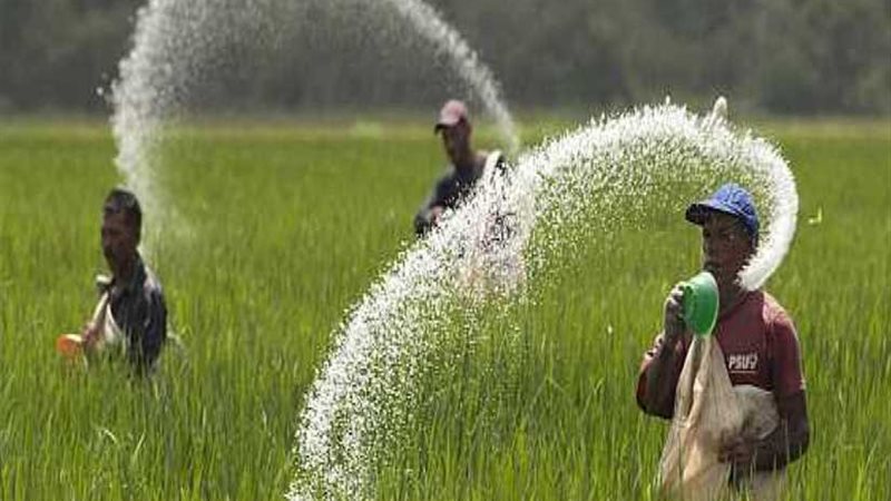 زراعة دمياط: إجراء