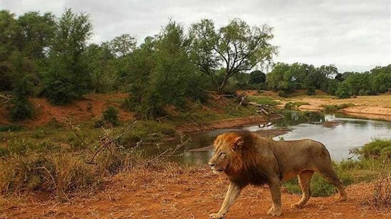 هروب جماعي لـ 14