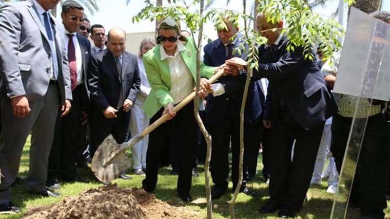 ياسمين فؤاد تزور