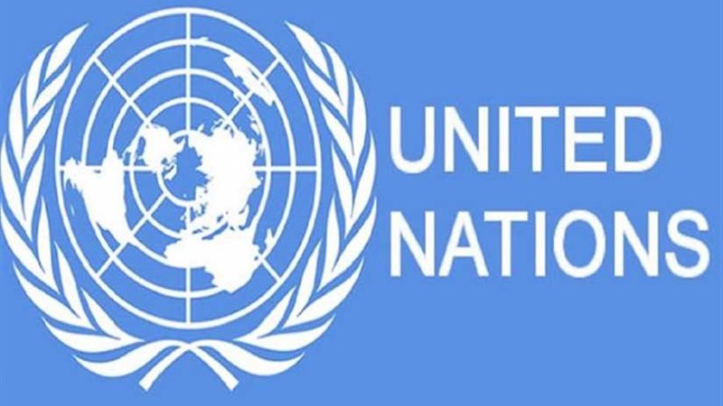 مفوّضة الأمم المتحدة