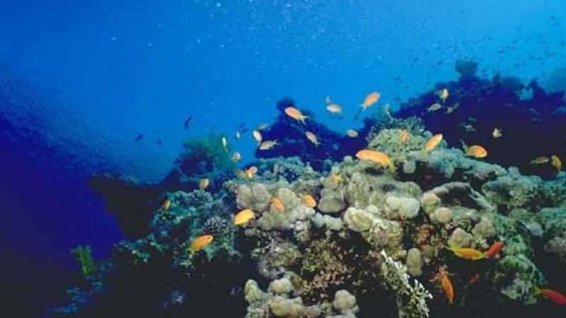 الهجرة تنظم زيارات