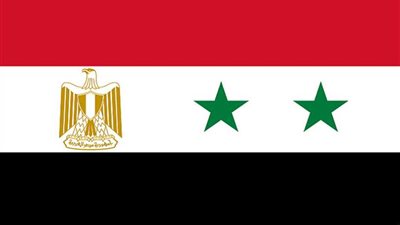 برلماني يرد على الحملة ضد السوريين في مصر