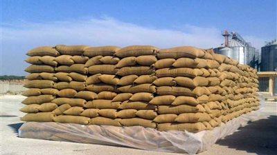 توريد 200 ألف طن قمح ببنى سويف