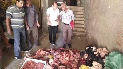 ضبط نصف طن لحوم فاسدة بملوي قبل بيعها للمواطنين.. صور