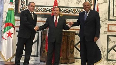 وزراء خارجية مصر وتونس والجزائر يؤكدون رفضهم التام للتدخل الخارجي في الشأن الليبي