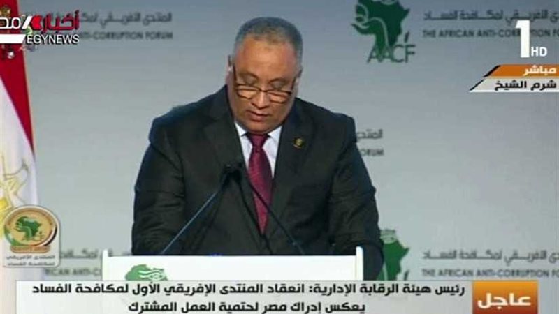 نشرة 24 ... المشاركون