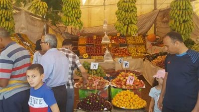 معرض للحوم البلدية والسلع المخفضة بدمياط الجديدة