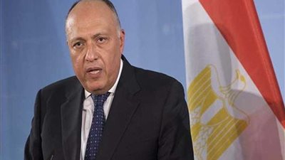 شكري ونظيره الفرنسي يناقشان مستجدات الأوضاع في المنطقة