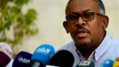 قوى الحرية والتغيير بالسودان: هناك تباين في وجهات النظر بينا دون وجود لخلافات