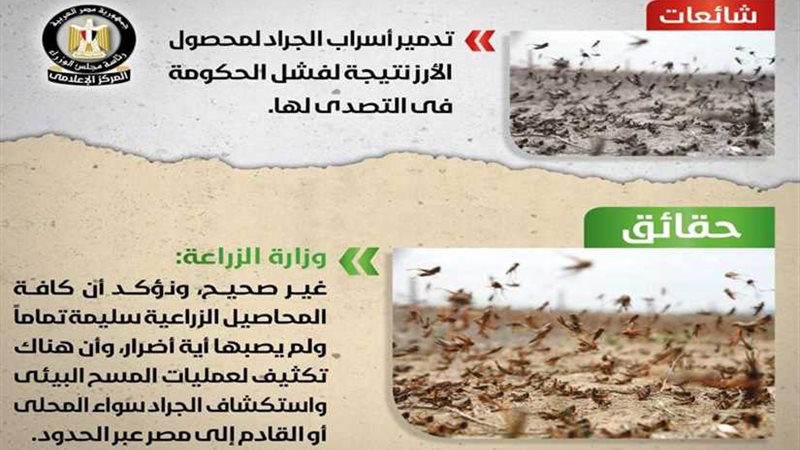 الزراعة تنفي فشل