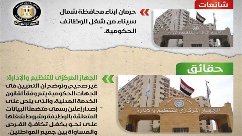 التنظيم والإدارة: