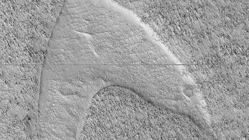 العلماء الأمريكيون