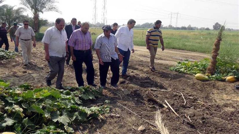 رئيس جامعة المنيا