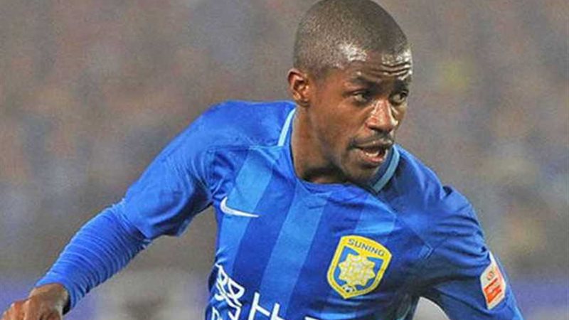 بالميراس البرازيلي