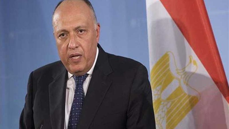 شكري ونظيره الفرنسي