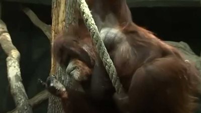 هكذا احتفل أشهر إنسان غاب في فرنسا بعيد ميلاده الـ50