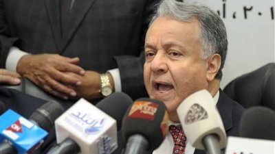 مستشار الوحدة الاقتصادية: منصات الـ 