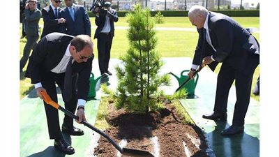 الرئيس السيسي يشارك نظيره البيلاروسى في زرع شجرة صداقة