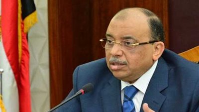 التنمية المحلية تؤكد أهمية دعم الاستثمار والتكامل بين المدن الأفريقية