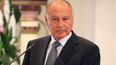 أبو الغيط: تركيا تشجع الإسلام السياسي تحت مظلة العثمانية الجديدة