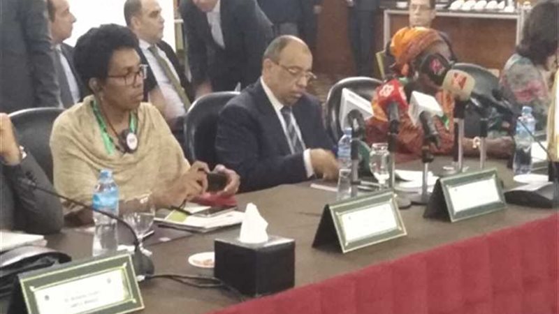 التنمية المحلية: