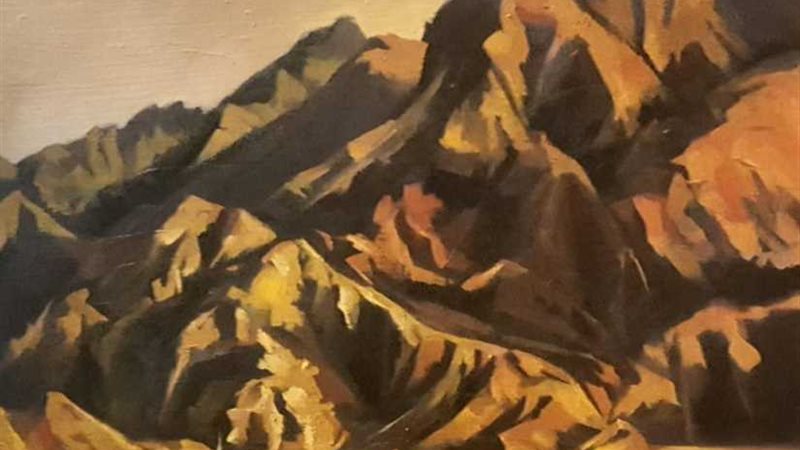 ريهام الشربيني تصور