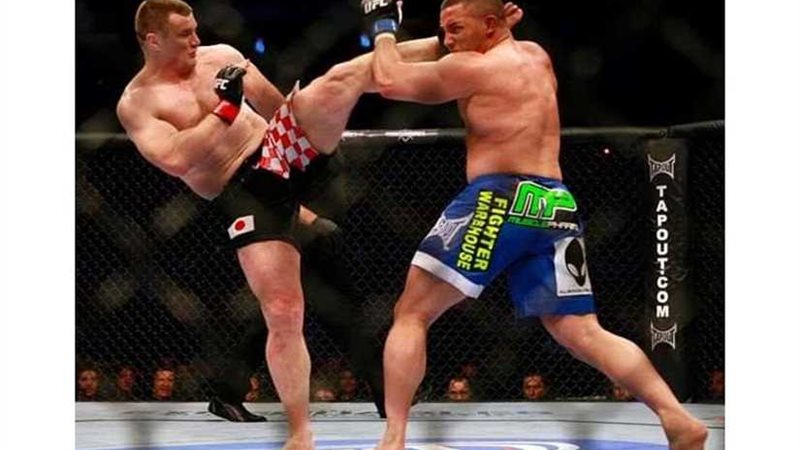 نادى الشيخ زايد ينظم