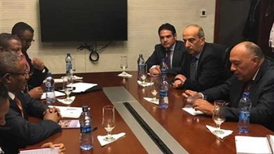 شكري يبحث مع نظيره الإثيوبي تطورات العلاقات الثنائية ومفاوضات سد النهضة