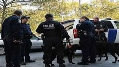 الشرطة الجورجية تطلق الغازات المسيلة للدموع لمنع اقتحام مبنى البرلمان