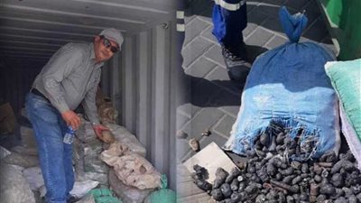 جمارك السخنة تضبط محاولة تهريب حفريات صخرية وبحرية نادرة.. (صور)
