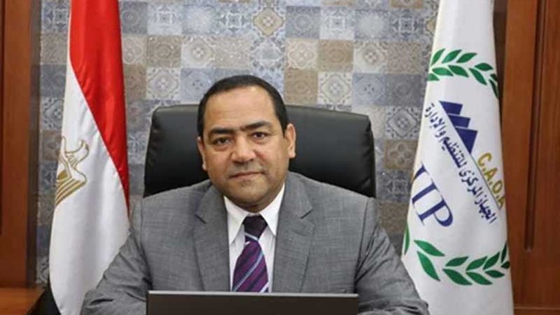 التنظيم والإدارة