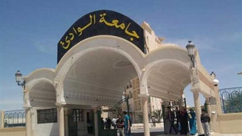 جامعة جنوب الوادي