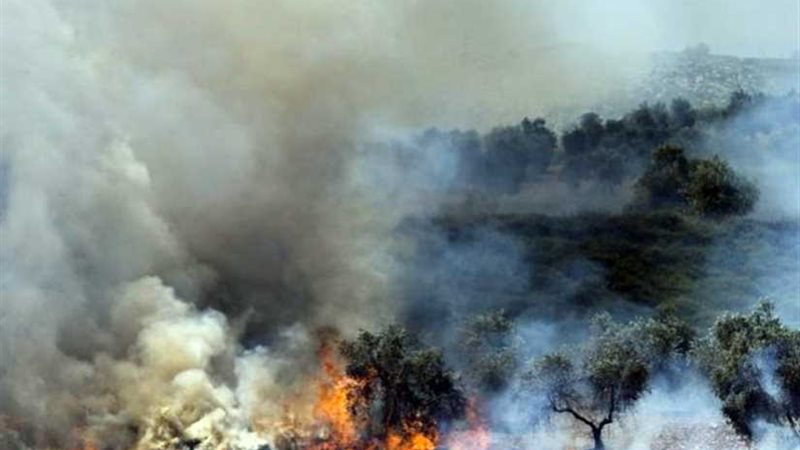 فلسطين تدين حرق المستوطنين