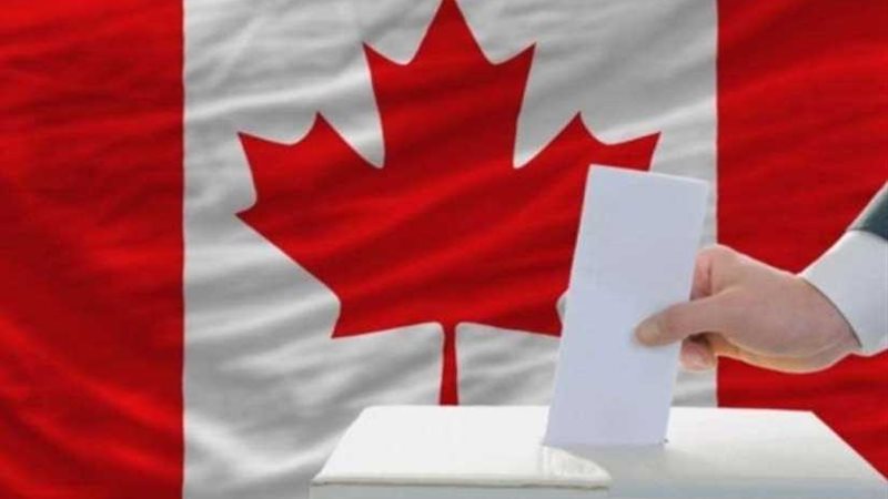 المحافظون يواصلون