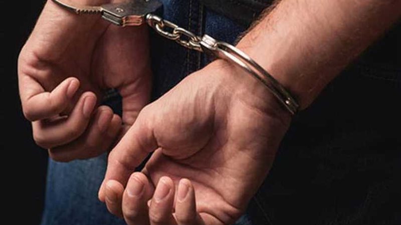 إحالة مزور شهادة