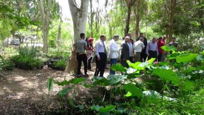 رئيس جامعة المنيا يشهد حصاد المزرعة السمكية بالمشتل التعليمي