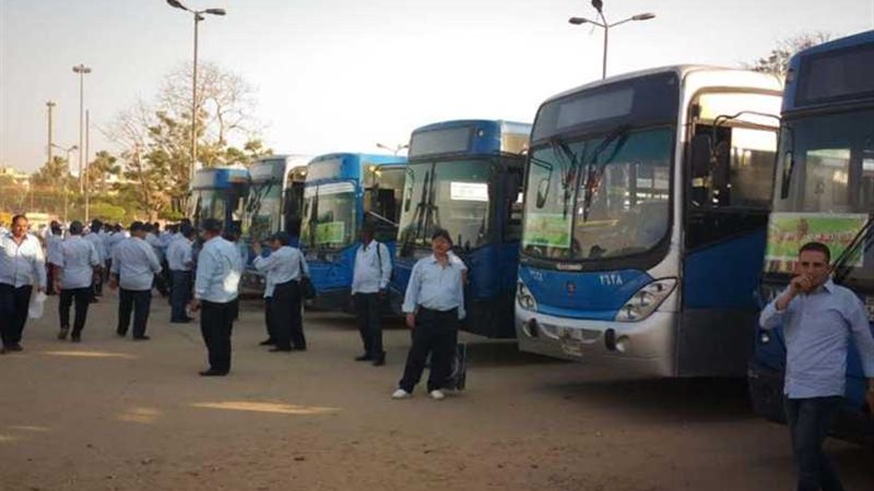 شاشات عرض للبطولة